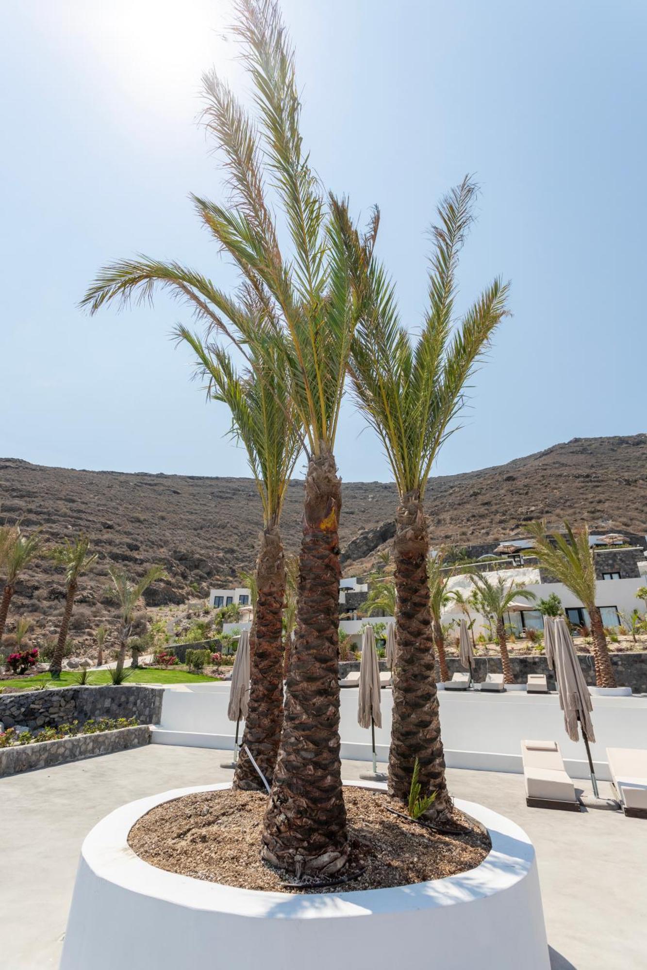 Palm Island Suites Imerovígli Buitenkant foto